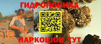 скорость Бийск