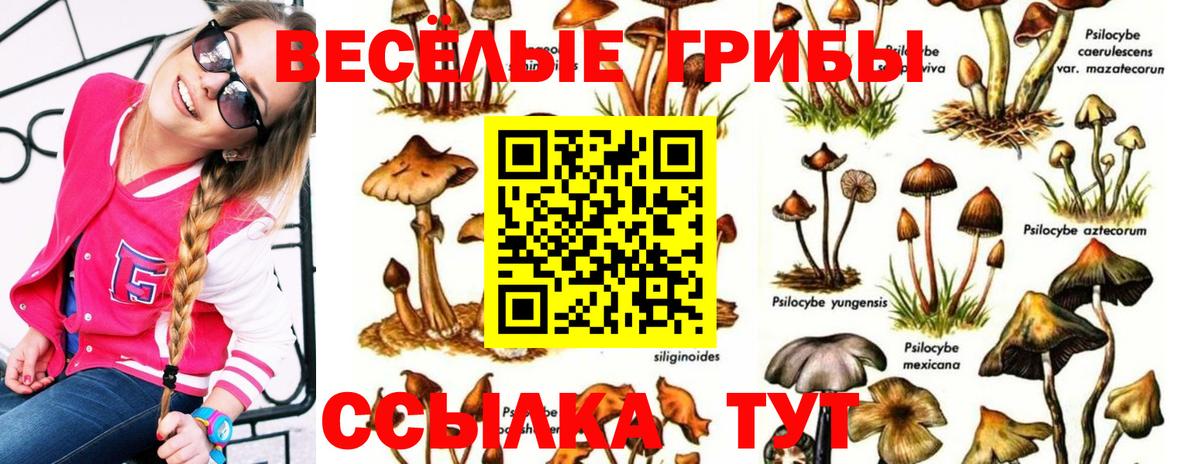 Псилоцибиновые грибы ЛСД Каменка