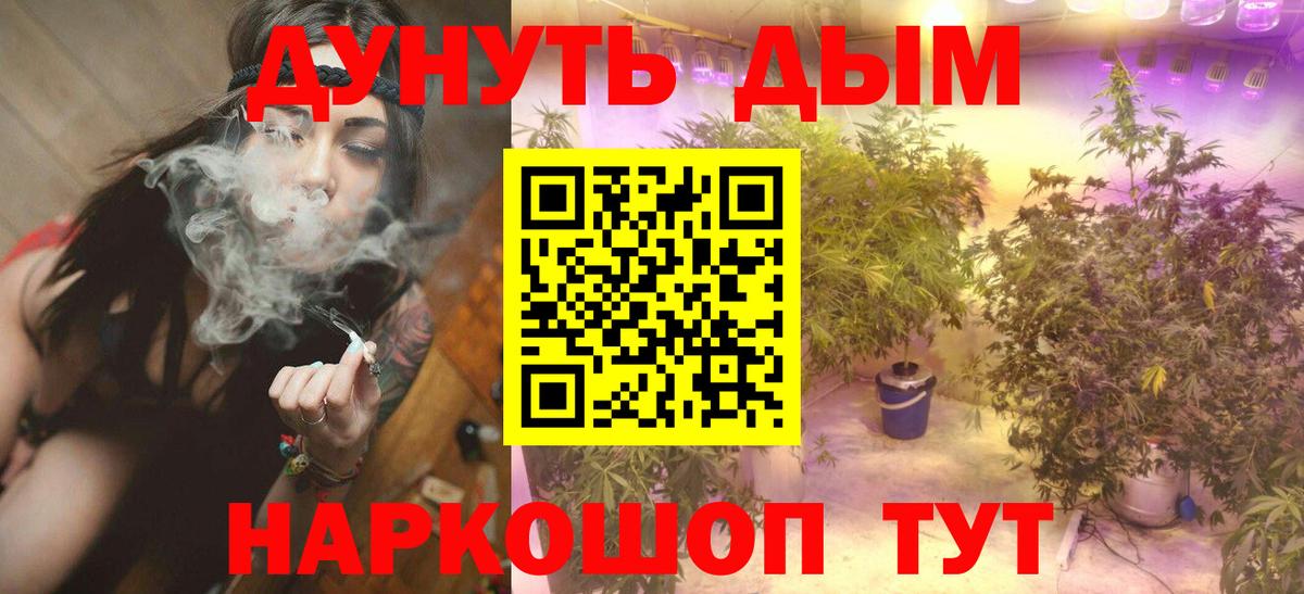 Канабис гибрид Каменка
